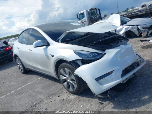 Photo 0 VIN: 7SAYGDEE2PA075160 - TESLA MODEL Y 