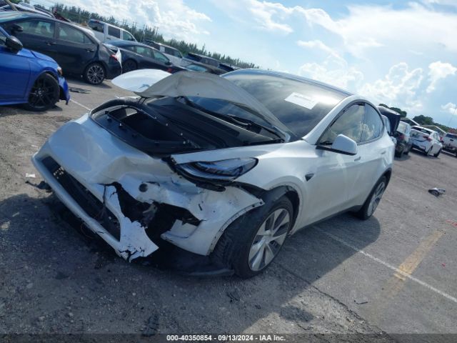 Photo 1 VIN: 7SAYGDEE2PA075160 - TESLA MODEL Y 