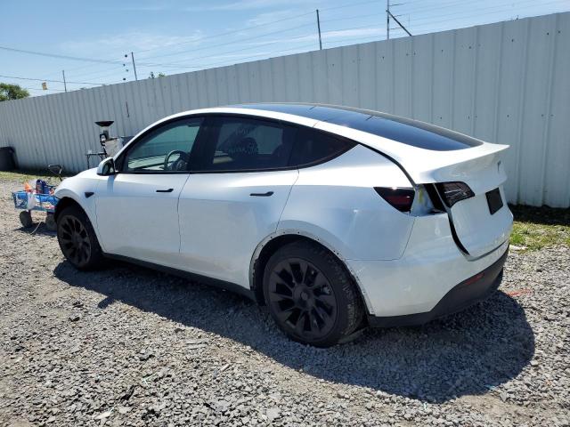 Photo 1 VIN: 7SAYGDEE2PA080259 - TESLA MODEL Y 