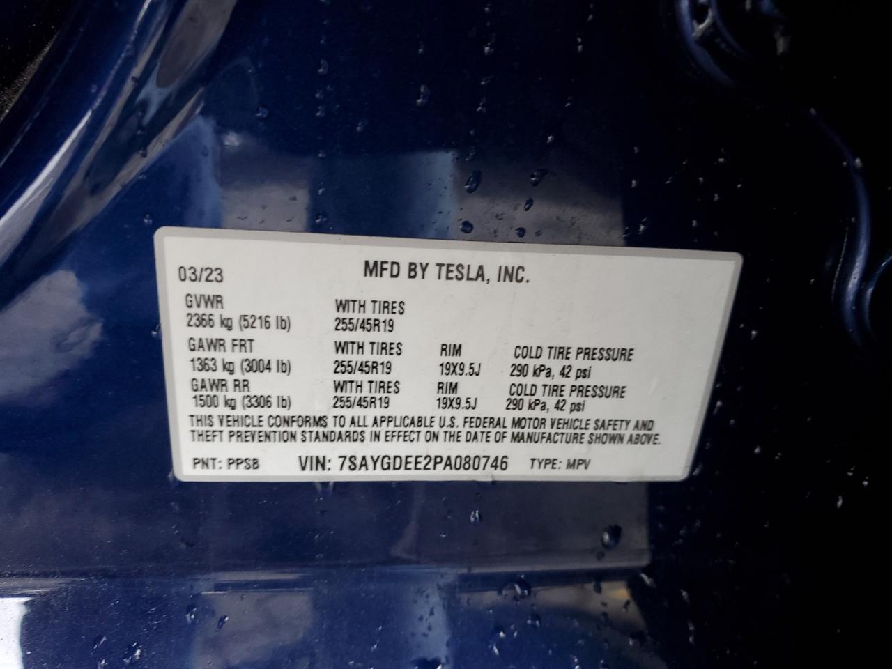 Photo 11 VIN: 7SAYGDEE2PA080746 - TESLA MODEL Y 