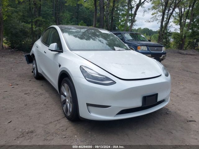 Photo 0 VIN: 7SAYGDEE2PA104172 - TESLA MODEL Y 