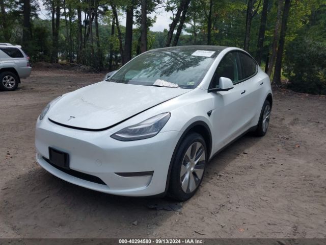 Photo 1 VIN: 7SAYGDEE2PA104172 - TESLA MODEL Y 