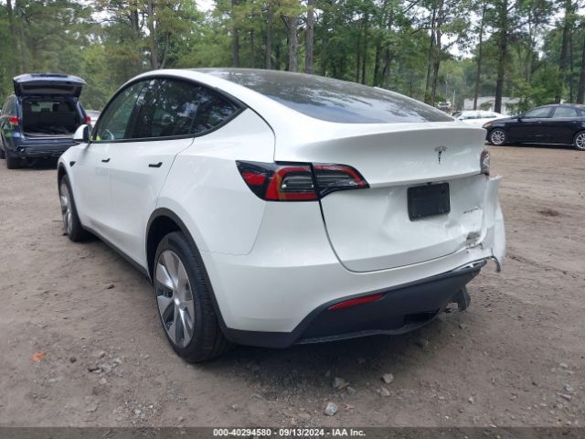 Photo 2 VIN: 7SAYGDEE2PA104172 - TESLA MODEL Y 