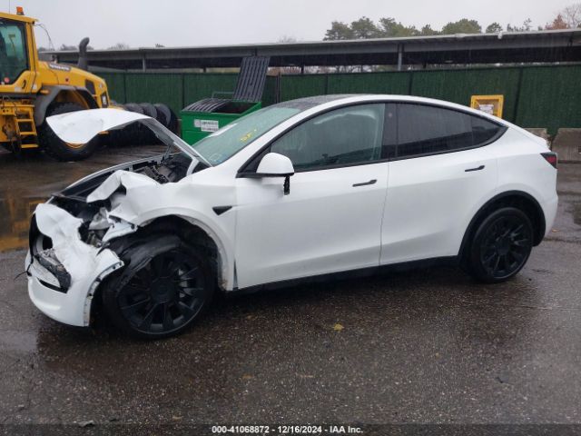 Photo 1 VIN: 7SAYGDEE2PA118573 - TESLA MODEL Y 