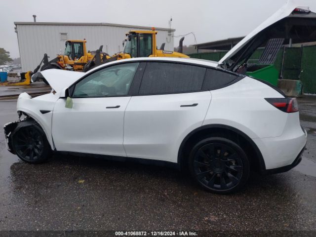 Photo 2 VIN: 7SAYGDEE2PA118573 - TESLA MODEL Y 