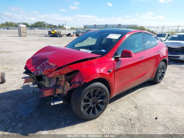 Photo 1 VIN: 7SAYGDEE2PA121778 - TESLA MODEL Y 