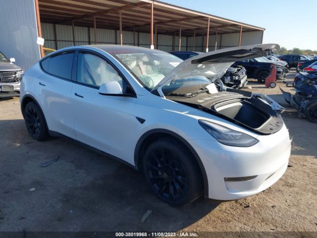 Photo 0 VIN: 7SAYGDEE2PA145417 - TESLA MODEL Y 