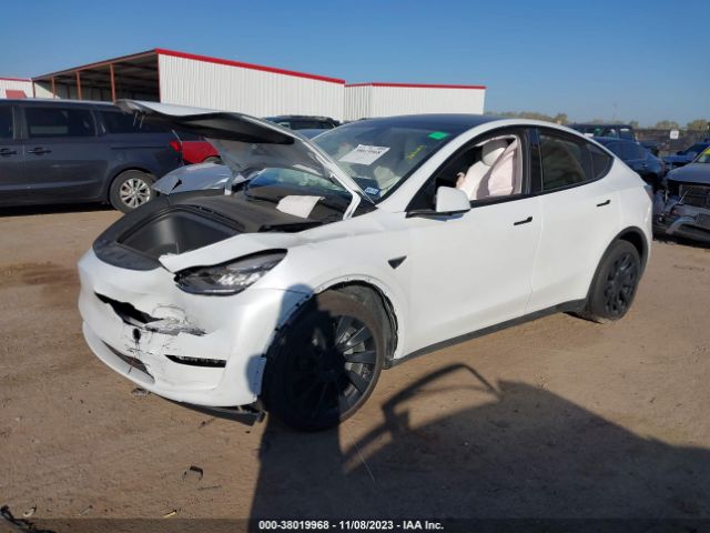 Photo 1 VIN: 7SAYGDEE2PA145417 - TESLA MODEL Y 