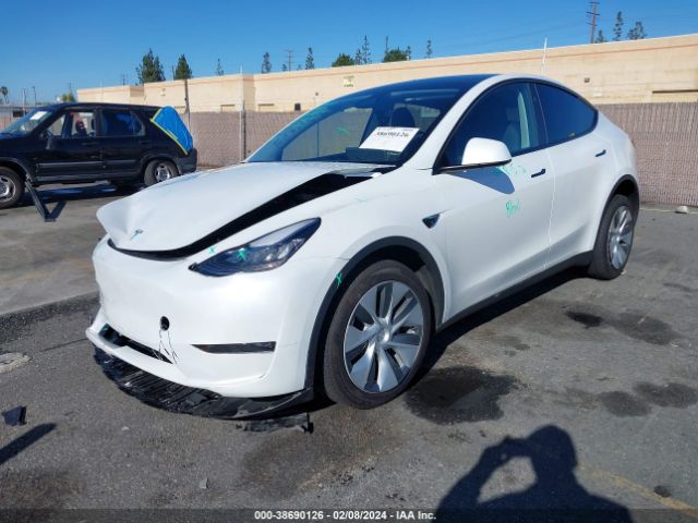 Photo 1 VIN: 7SAYGDEE2PA160922 - TESLA MODEL Y 