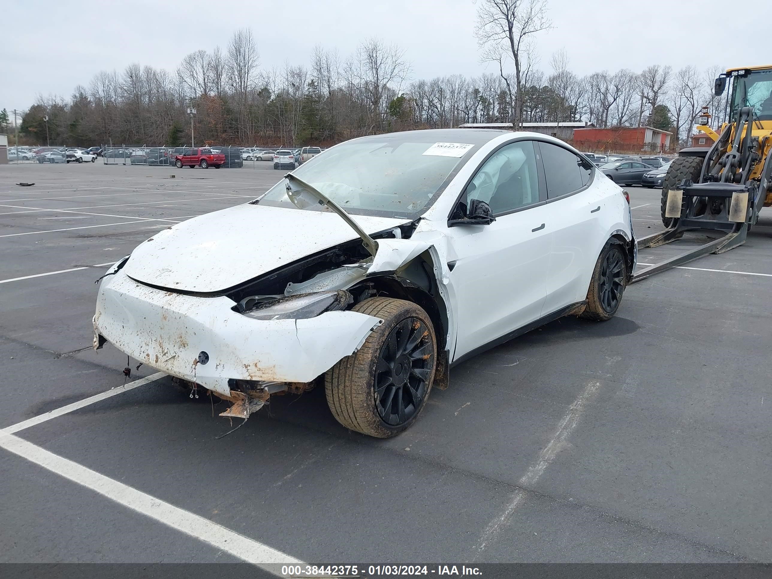 Photo 1 VIN: 7SAYGDEE2PA161102 - TESLA MODEL Y 