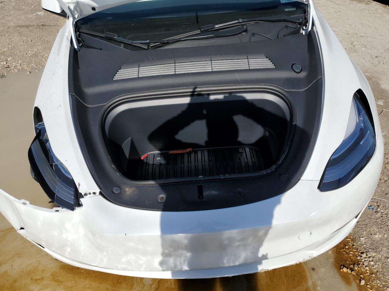 Photo 10 VIN: 7SAYGDEE2PA161715 - TESLA MODEL Y 