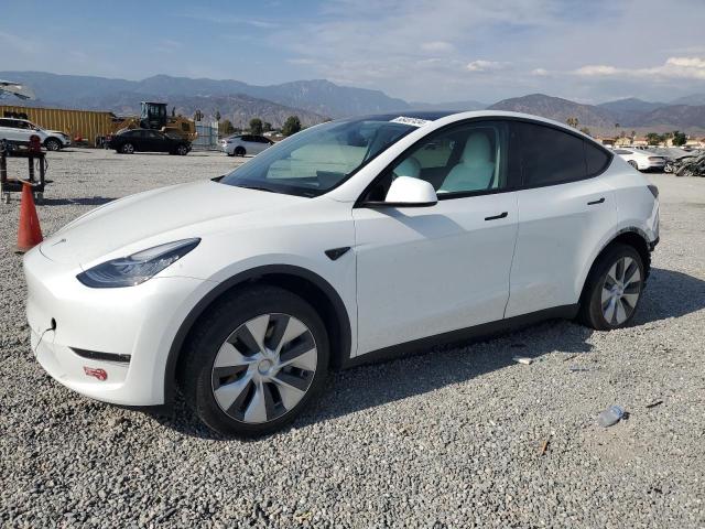 Photo 0 VIN: 7SAYGDEE2PF589397 - TESLA MODEL Y 