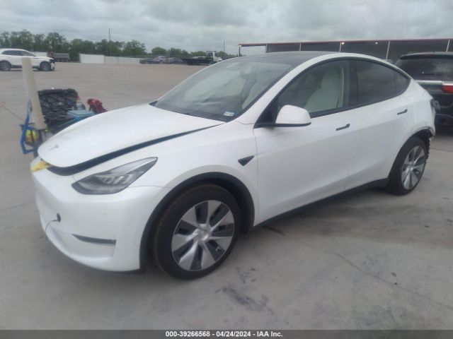 Photo 1 VIN: 7SAYGDEE2PF606828 - TESLA MODEL Y 