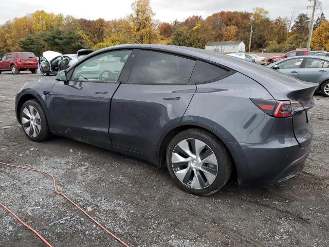 Photo 1 VIN: 7SAYGDEE2PF613844 - TESLA MODEL Y 