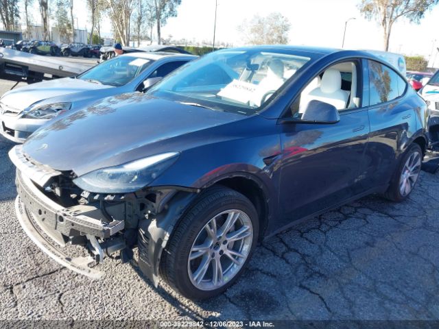 Photo 1 VIN: 7SAYGDEE2PF619823 - TESLA MODEL Y 