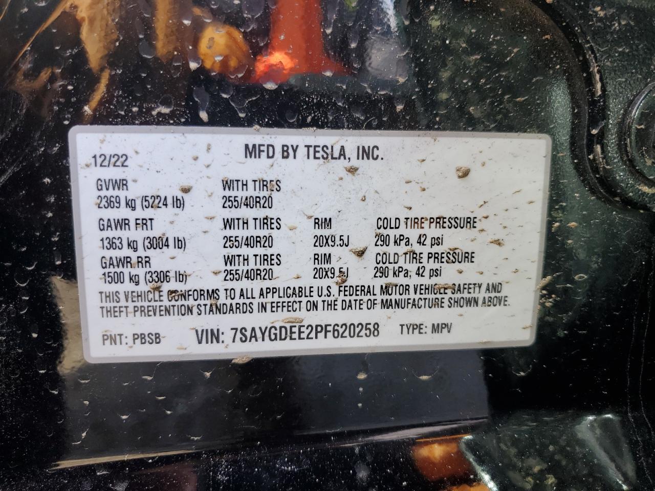 Photo 11 VIN: 7SAYGDEE2PF620258 - TESLA MODEL Y 