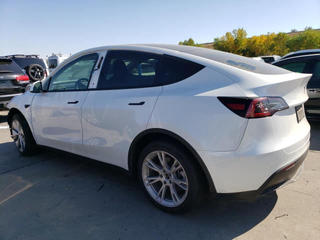 Photo 1 VIN: 7SAYGDEE2PF703494 - TESLA MODEL Y 