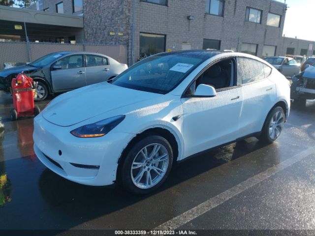 Photo 1 VIN: 7SAYGDEE2PF812117 - TESLA MODEL Y 