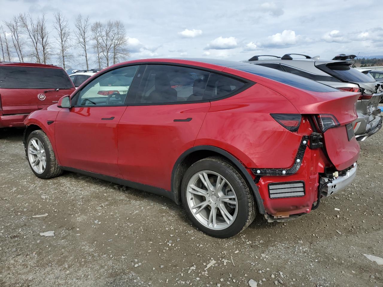 Photo 1 VIN: 7SAYGDEE2PF814689 - TESLA MODEL Y 