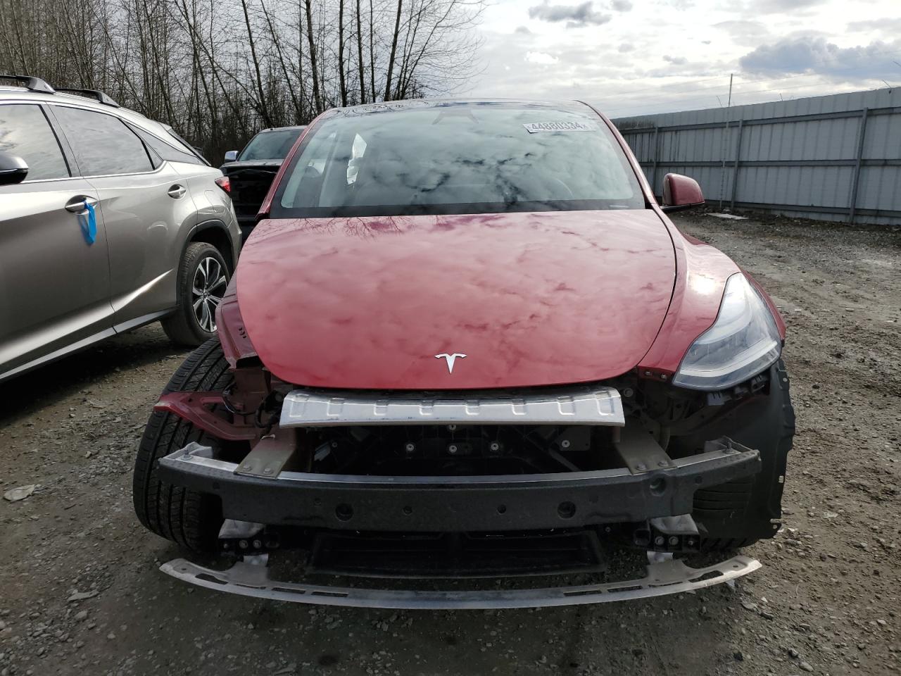 Photo 4 VIN: 7SAYGDEE2PF814689 - TESLA MODEL Y 