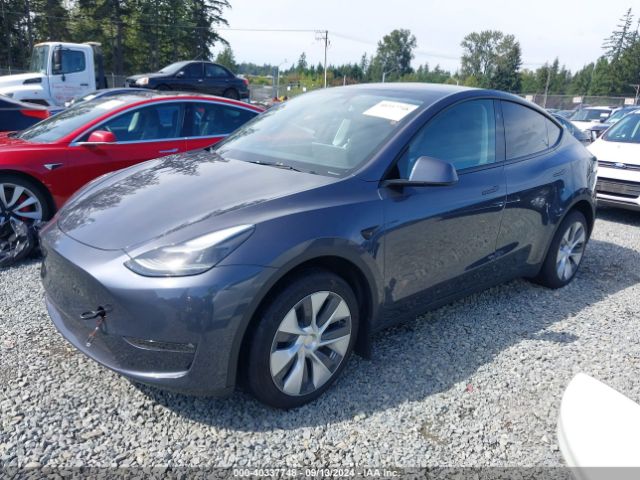 Photo 1 VIN: 7SAYGDEE2PF858644 - TESLA MODEL Y 