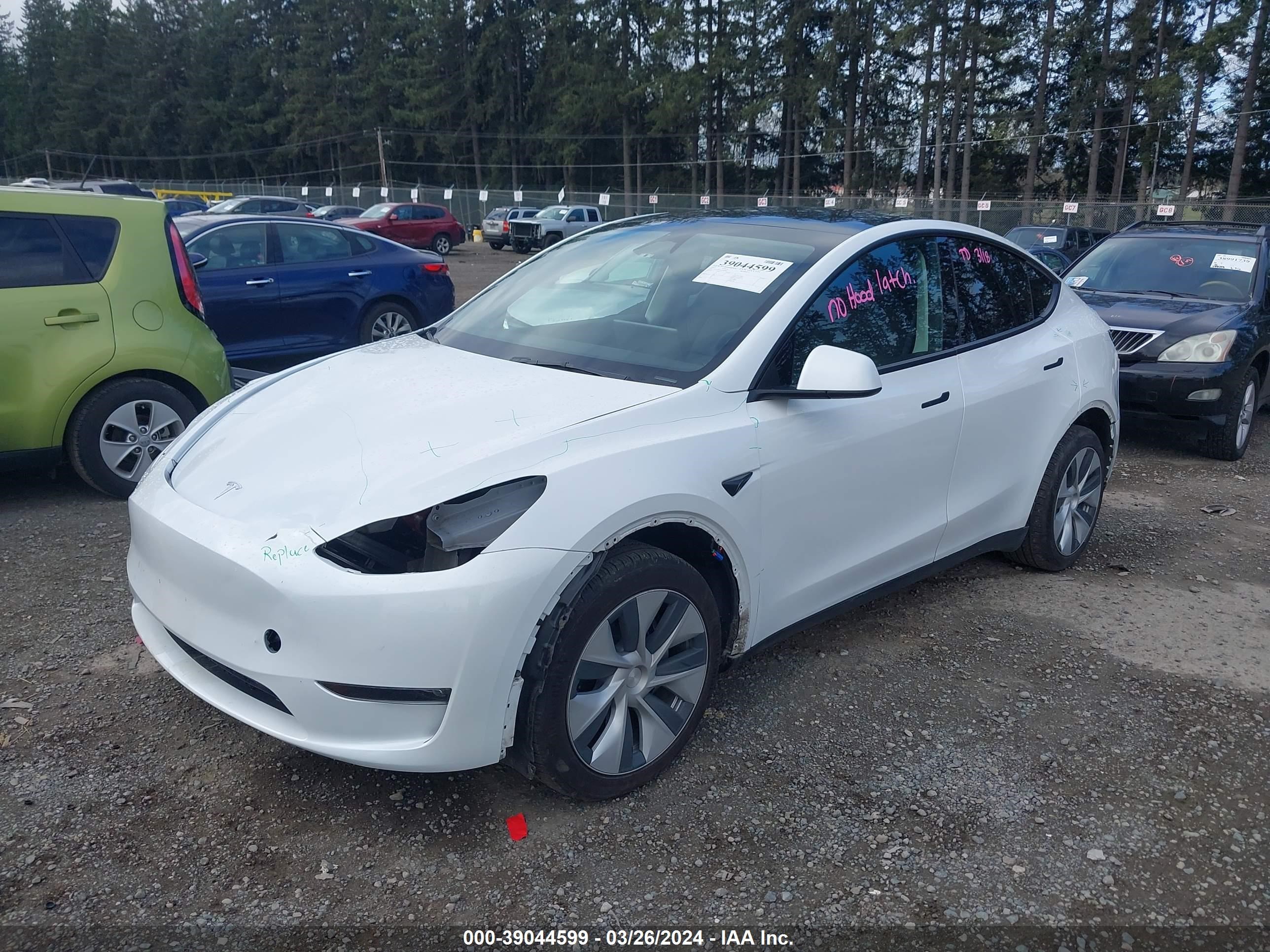 Photo 1 VIN: 7SAYGDEE2PF869031 - TESLA MODEL Y 