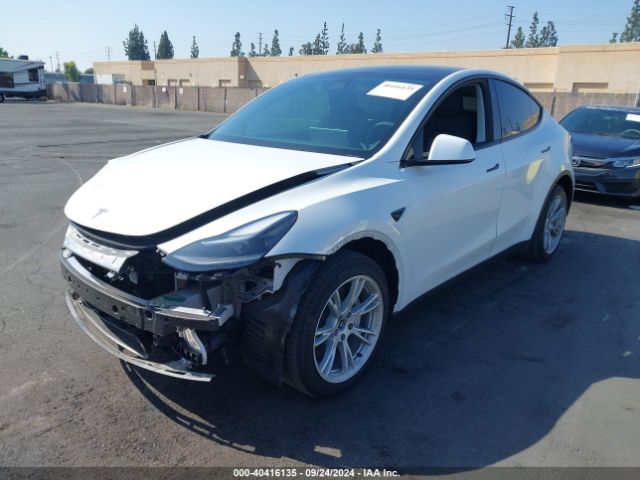 Photo 1 VIN: 7SAYGDEE2PF905557 - TESLA MODEL Y 