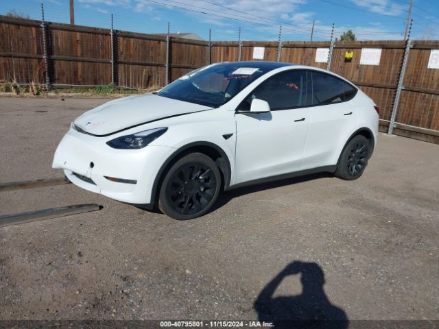 Photo 1 VIN: 7SAYGDEE2PF908183 - TESLA MODEL Y 