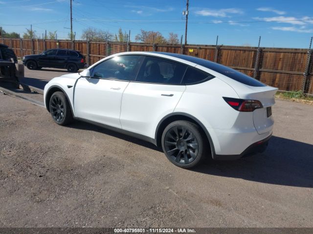 Photo 2 VIN: 7SAYGDEE2PF908183 - TESLA MODEL Y 