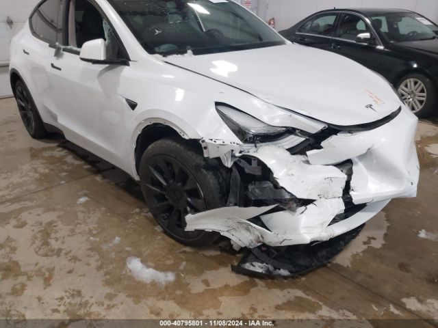 Photo 5 VIN: 7SAYGDEE2PF908183 - TESLA MODEL Y 