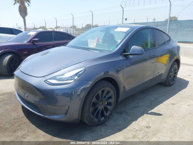 Photo 1 VIN: 7SAYGDEE2PF910029 - TESLA MODEL Y 