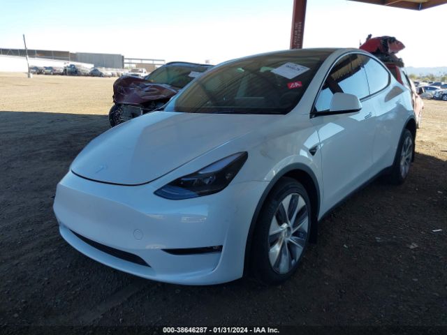 Photo 1 VIN: 7SAYGDEE2PF939546 - TESLA MODEL Y 