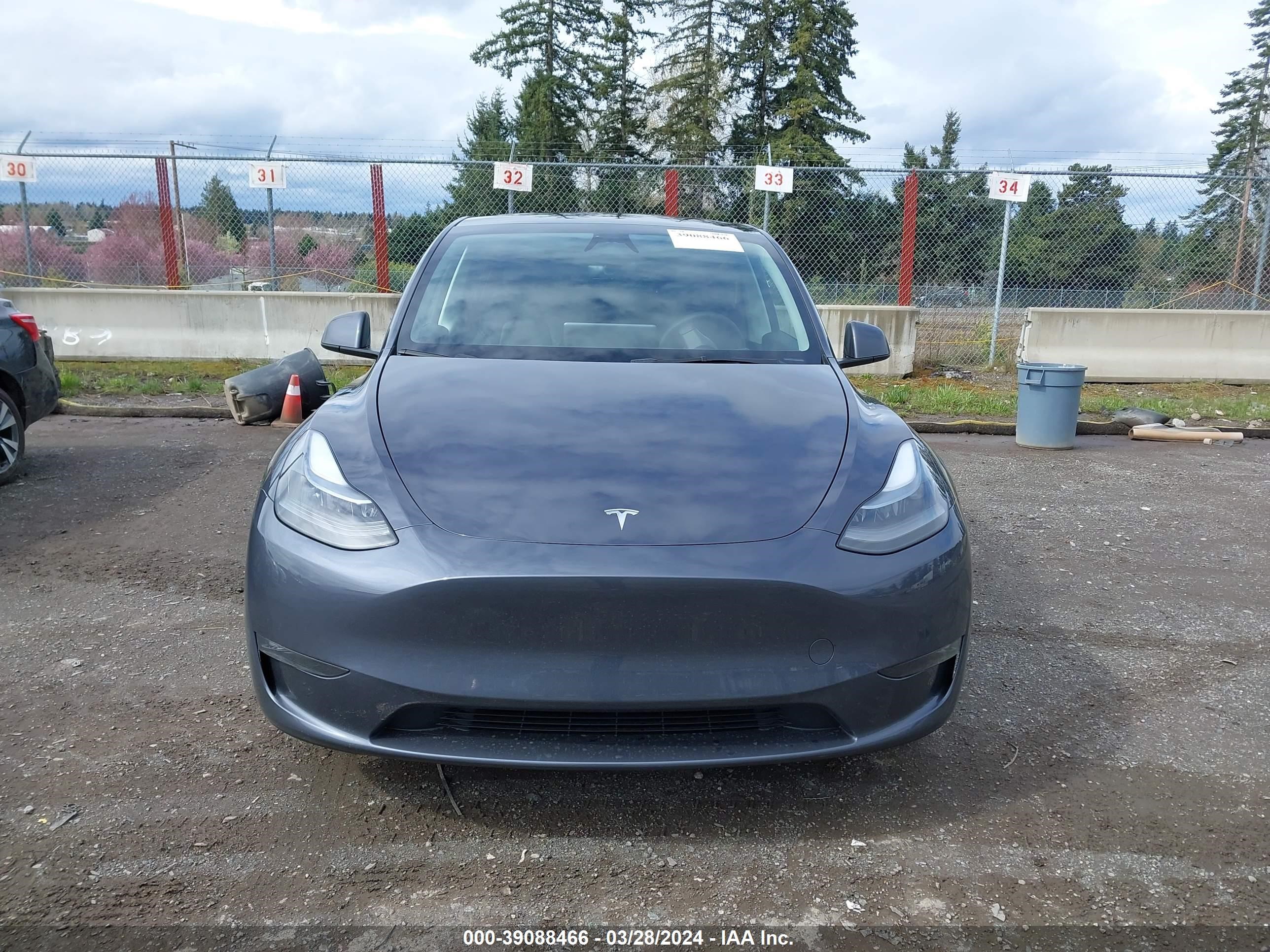 Photo 11 VIN: 7SAYGDEE2PF980484 - TESLA MODEL Y 