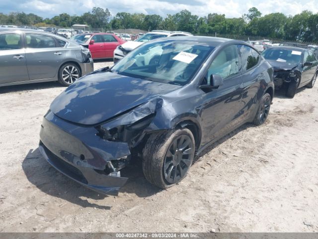 Photo 1 VIN: 7SAYGDEE2RA218515 - TESLA MODEL Y 