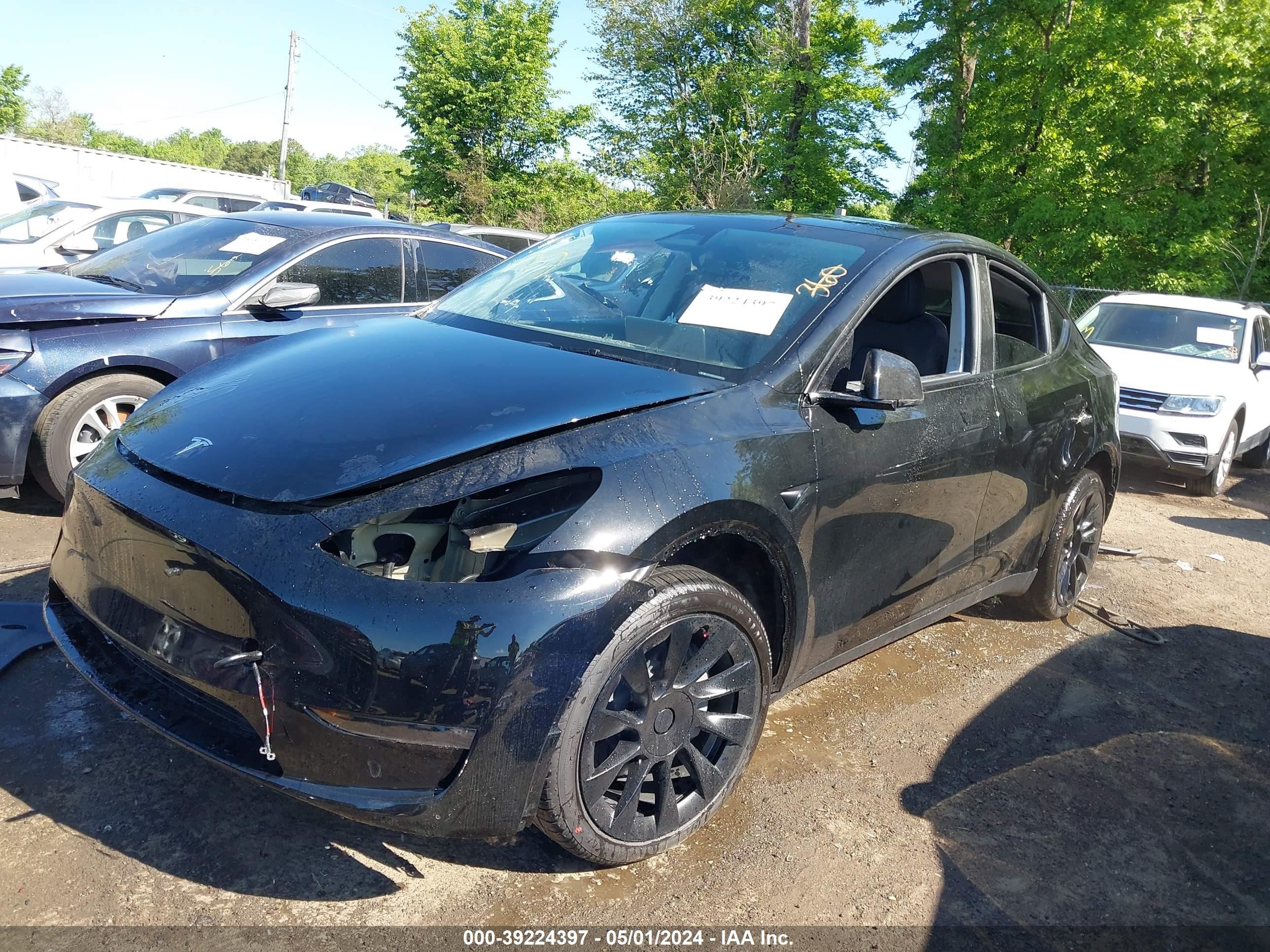 Photo 1 VIN: 7SAYGDEE2RA225755 - TESLA MODEL Y 