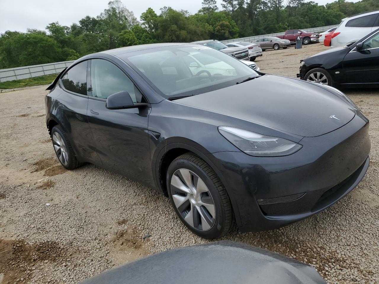 Photo 3 VIN: 7SAYGDEE2RA232558 - TESLA MODEL Y 