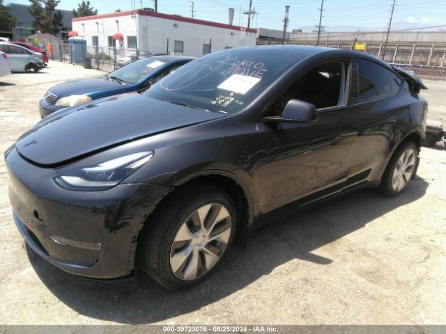 Photo 1 VIN: 7SAYGDEE2RA244080 - TESLA MODEL Y 