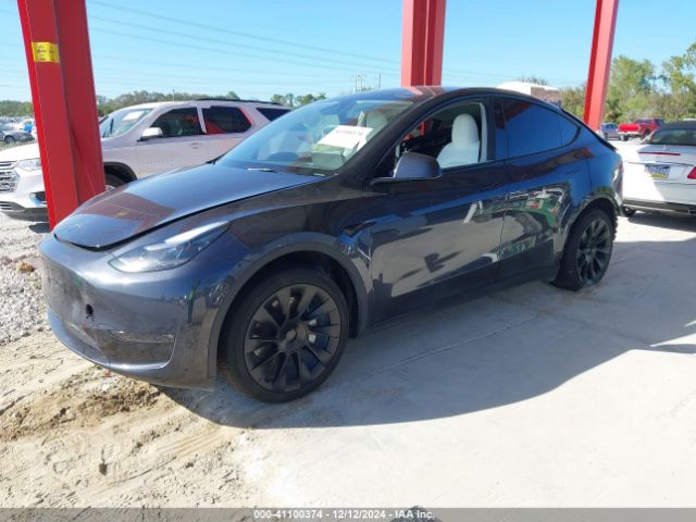 Photo 1 VIN: 7SAYGDEE2RA248100 - TESLA MODEL Y 