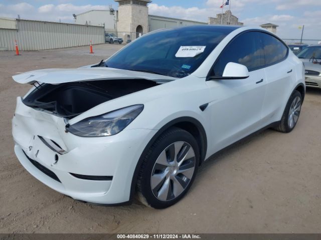 Photo 1 VIN: 7SAYGDEE2RA255743 - TESLA MODEL Y 