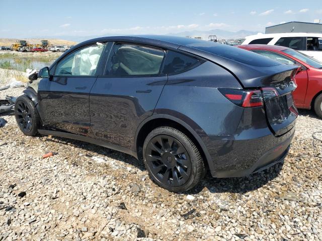 Photo 1 VIN: 7SAYGDEE2RF116957 - TESLA MODEL Y 