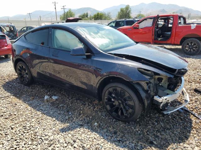 Photo 3 VIN: 7SAYGDEE2RF116957 - TESLA MODEL Y 