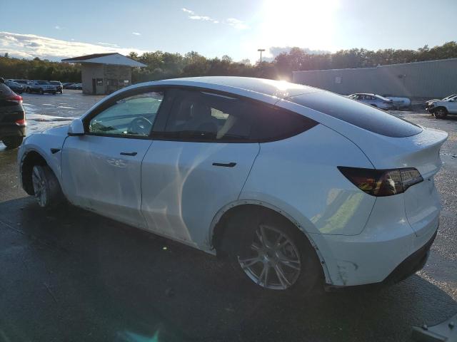 Photo 1 VIN: 7SAYGDEE3NF308799 - TESLA MODEL Y 