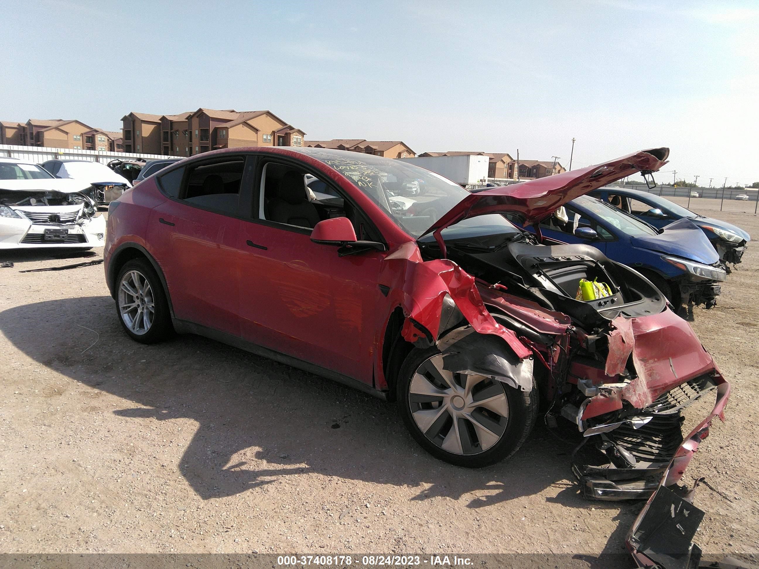 Photo 0 VIN: 7SAYGDEE3NF369652 - TESLA MODEL Y 