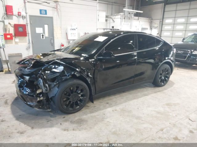 Photo 1 VIN: 7SAYGDEE3NF371756 - TESLA MODEL Y 