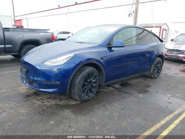 Photo 1 VIN: 7SAYGDEE3NF386600 - TESLA MODEL Y 