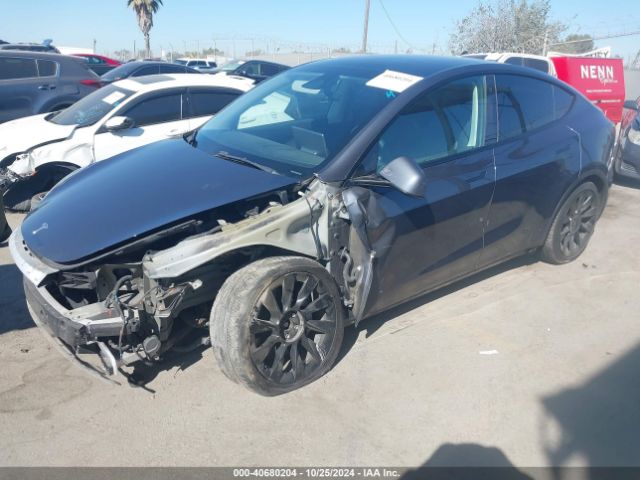 Photo 1 VIN: 7SAYGDEE3NF428778 - TESLA MODEL Y 