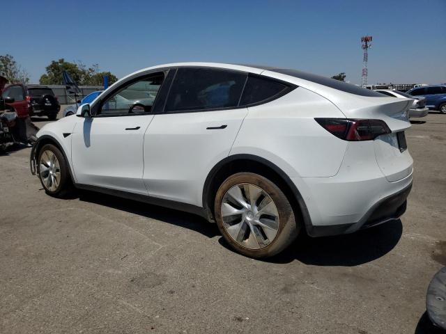 Photo 1 VIN: 7SAYGDEE3NF437576 - TESLA MODEL Y 