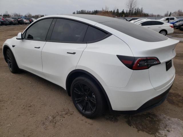 Photo 1 VIN: 7SAYGDEE3NF535541 - TESLA MODEL Y 