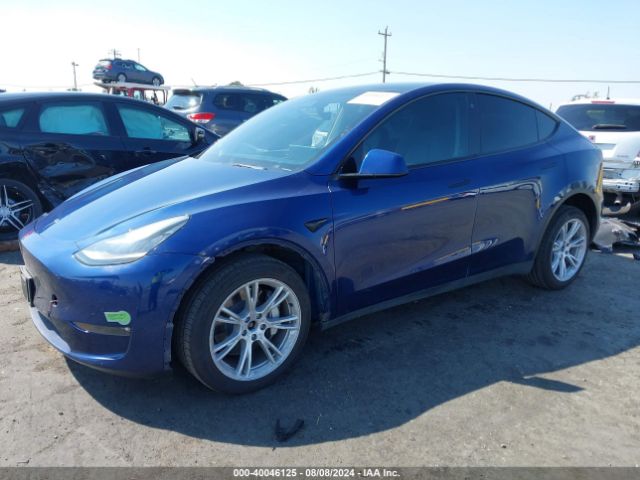 Photo 1 VIN: 7SAYGDEE3NF573884 - TESLA MODEL Y 