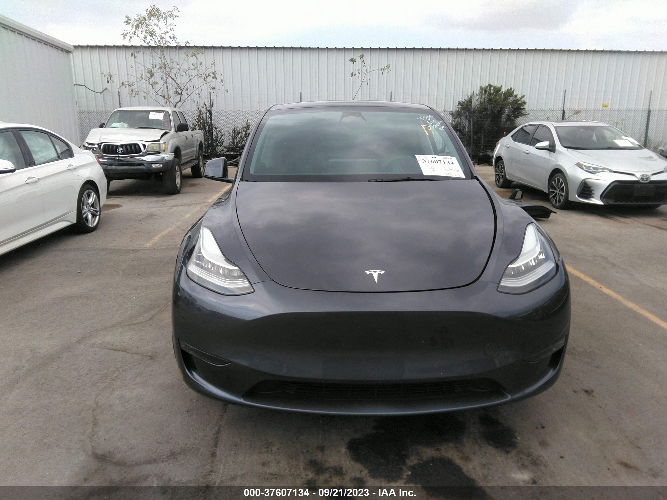 Photo 10 VIN: 7SAYGDEE3PA034228 - TESLA MODEL Y 